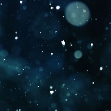 舞い散る雪