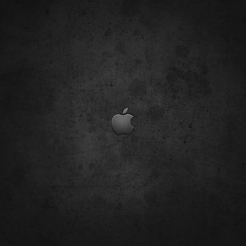 Apple - グレー