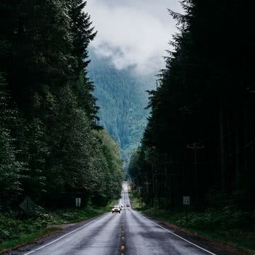 森の道路