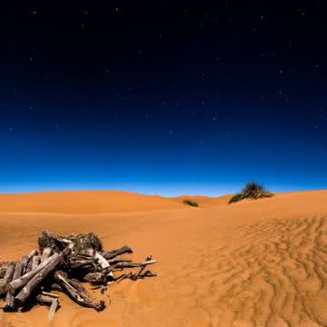 夜のサハラ砂漠