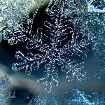 雪の結晶