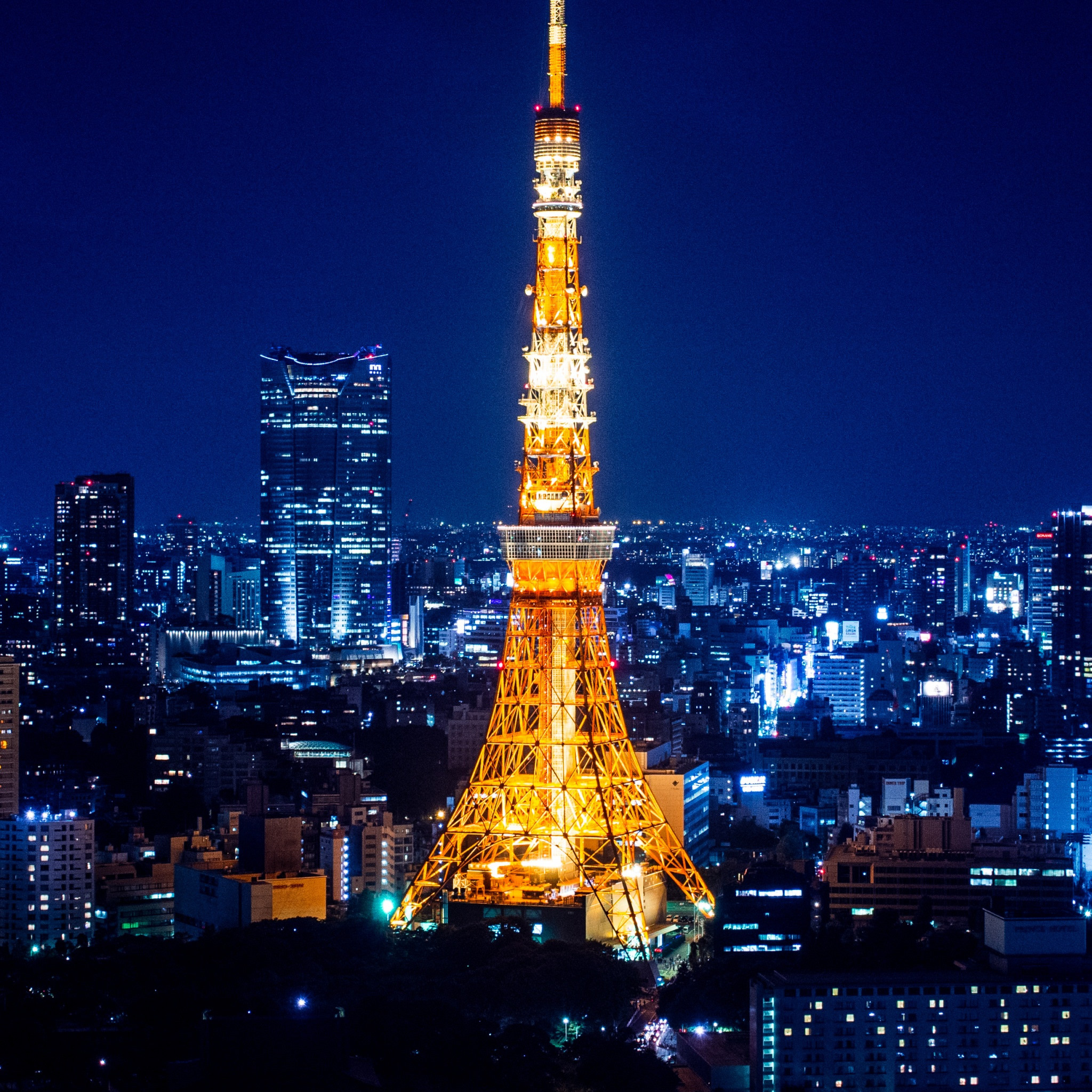 最高かつ最も包括的なスマホ 東京 タワー 夜景 壁紙 花の画像