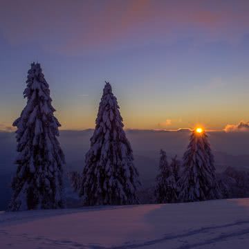 雪原の夕暮れ