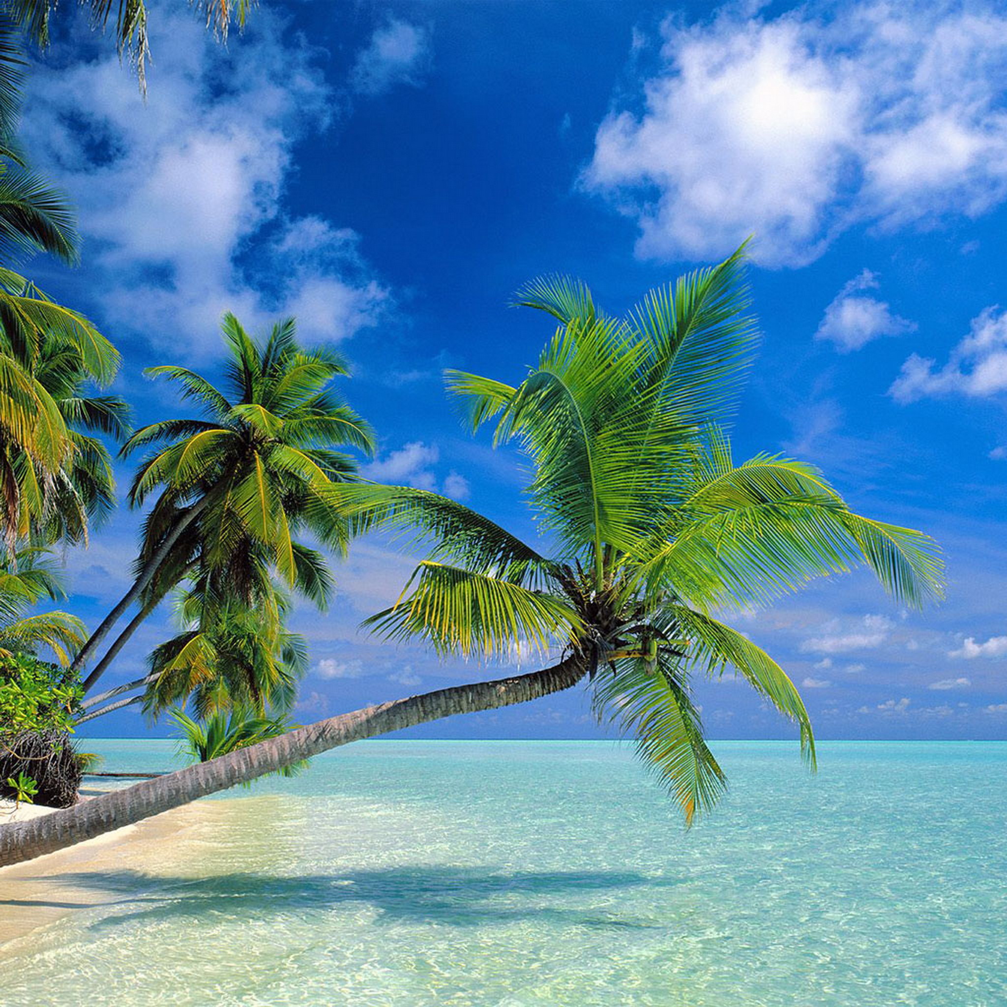 Tropical Paradise At Maldives Ipad Wallpaper New Ipad 3 Wallpapers Photos Ipad タブレット壁紙ギャラリー