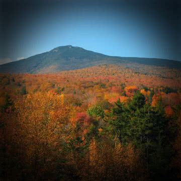 秋の山