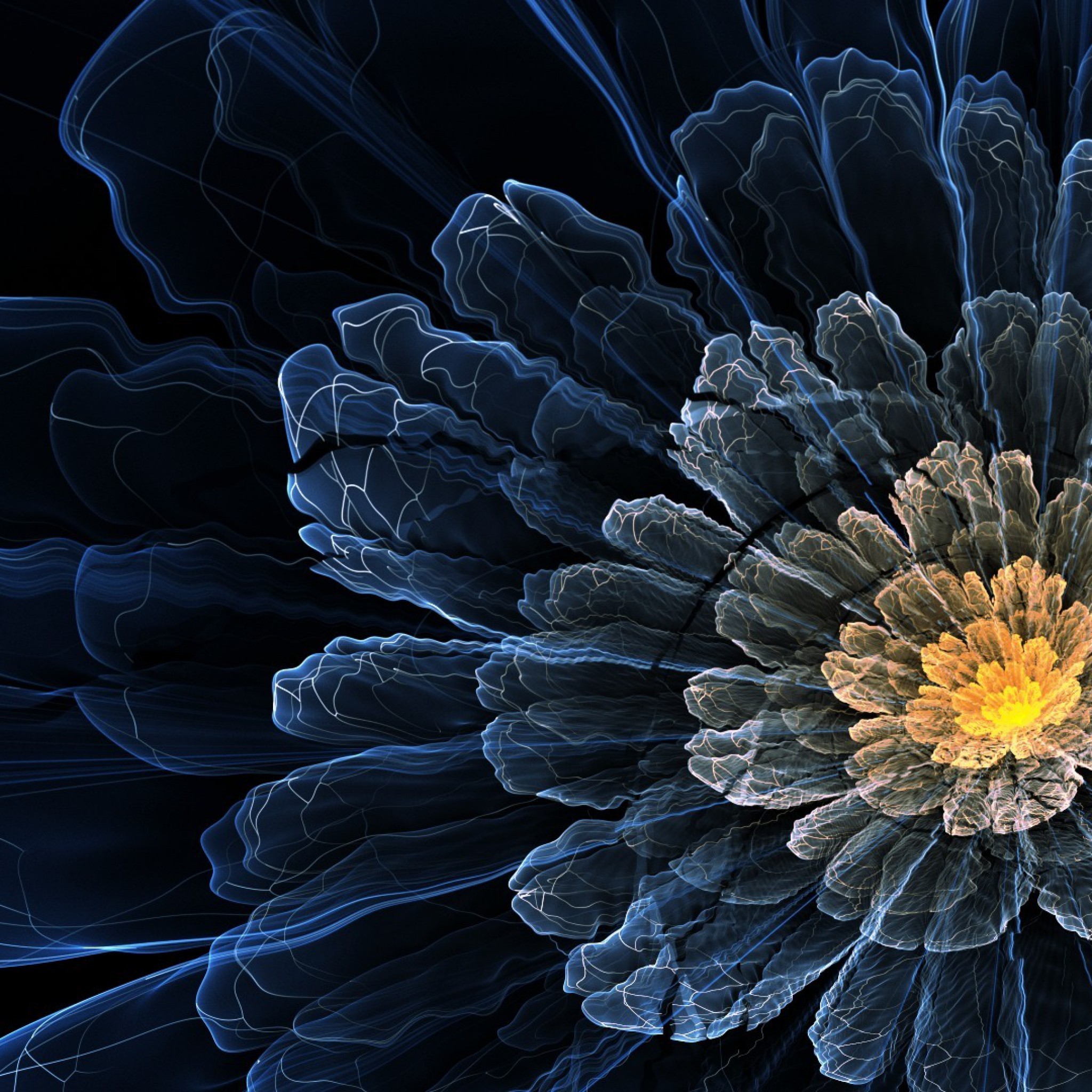 透明な花のデジタルアート Ipad タブレット壁紙ギャラリー