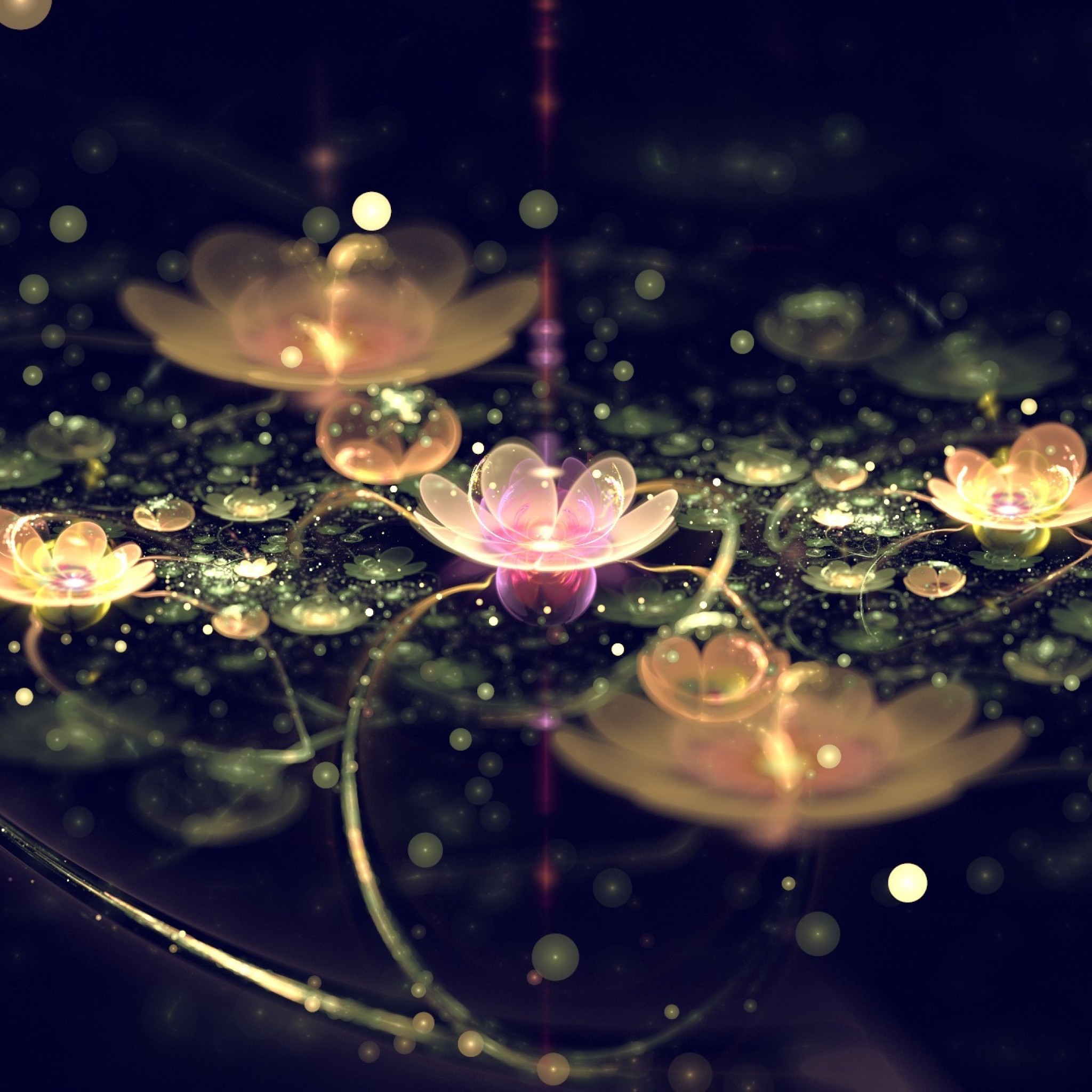 Wallpaper Art Flower Flowers Petals Abstraction The Lights Hd Wallpapers Ipad タブレット壁紙ギャラリー