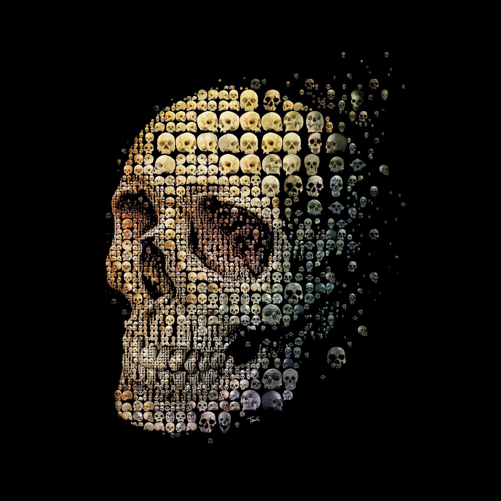 Skulls In Skull Ipad タブレット壁紙ギャラリー