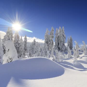 雪景色