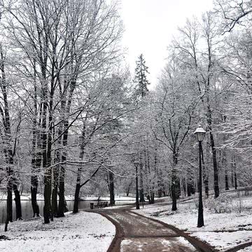 雪に包まれた公園