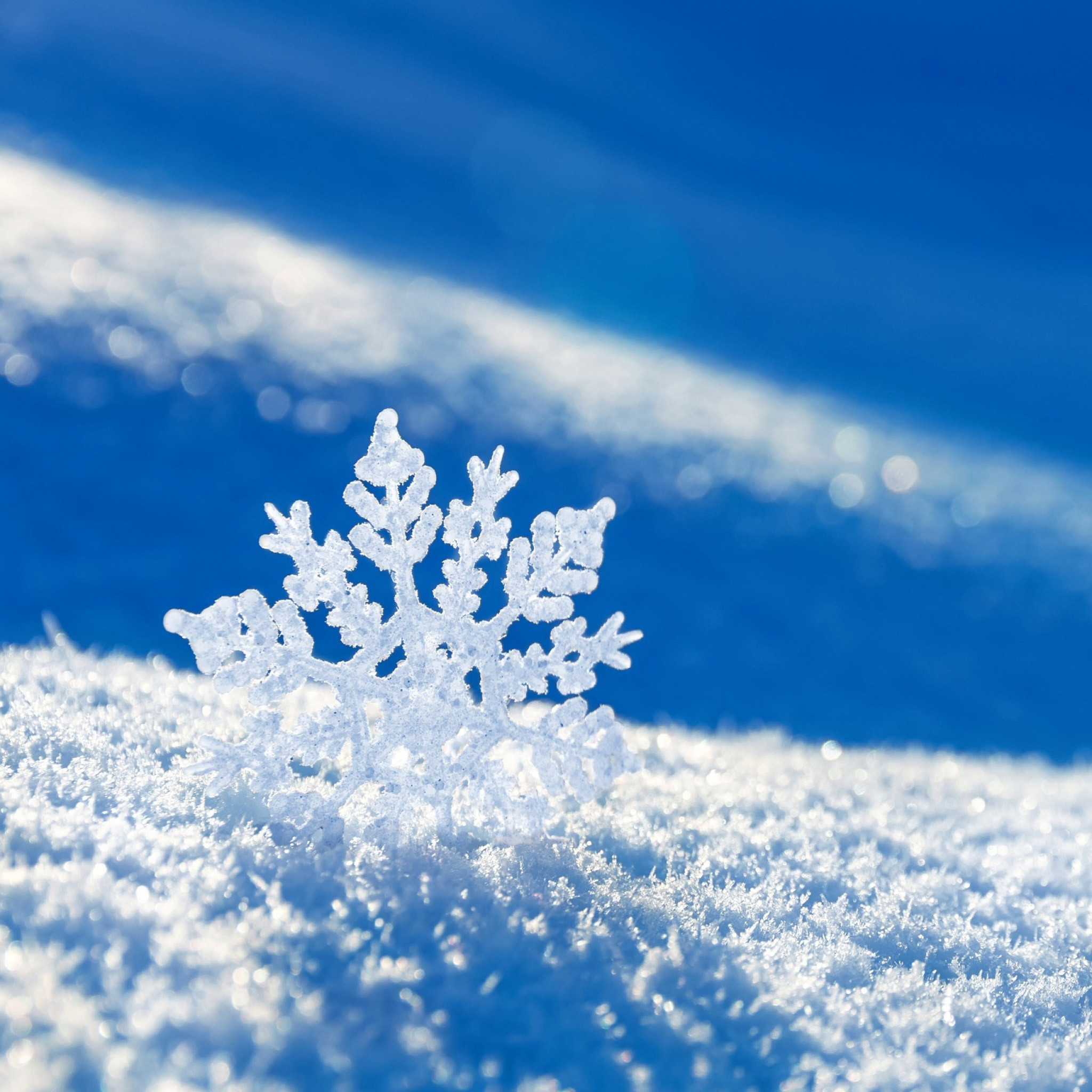 上選択 壁紙 雪