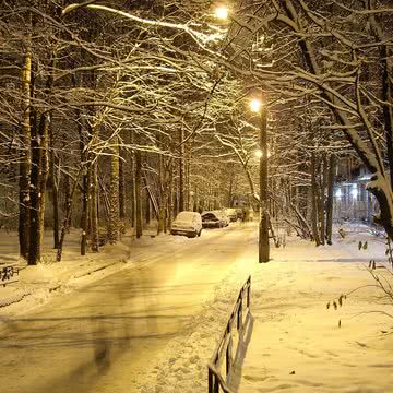 夜の雪道