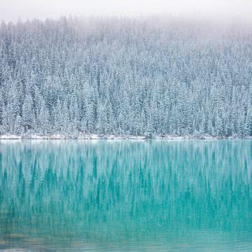 冬の湖