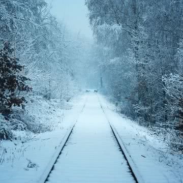 雪に包まれた線路