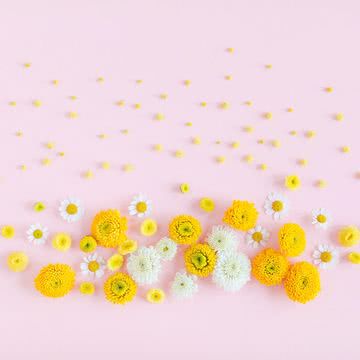 【60位】春の花