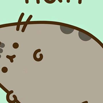 Pusheen（プシーン）