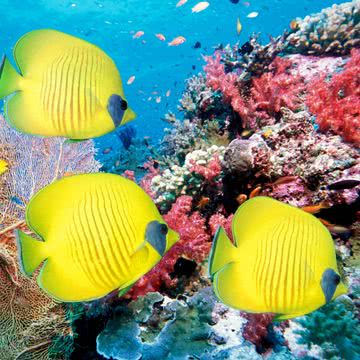 水族館