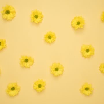 黄色い花柄
