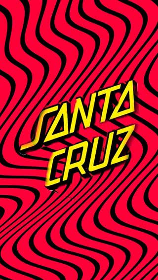 SANTA CRUZ(サンタクルーズ)