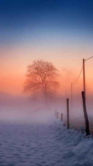 夕暮れの雪原