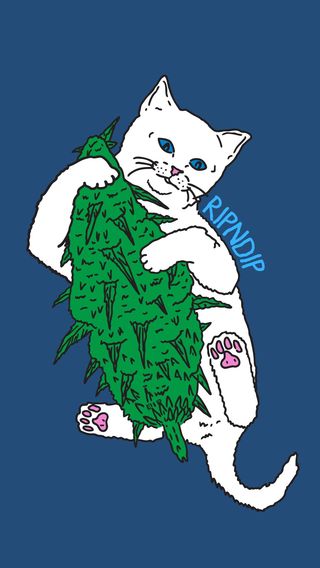 RIPNDIP（リップンディップ）|RIPNDIPのiPhone壁紙