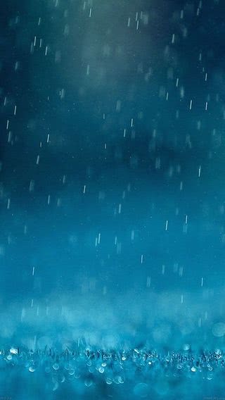 雨