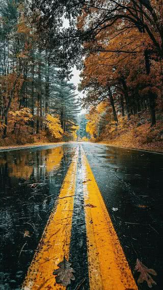 雨上がりの道路