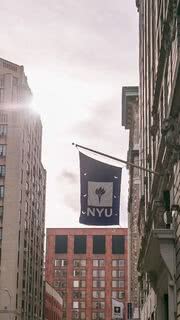 New York University