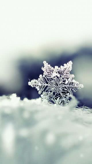 雪の結晶