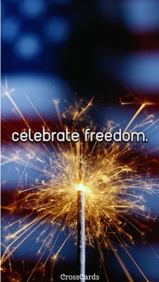 花火 - celebrate freedom