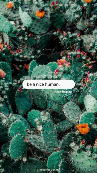 be a nice human