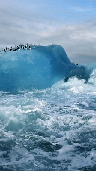 氷山のペンギン