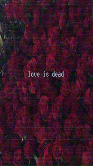 love is dead