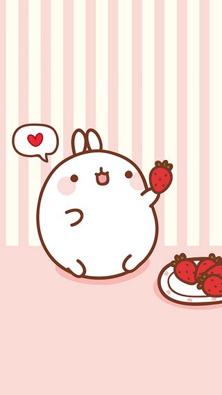 MOLANG (モラン)