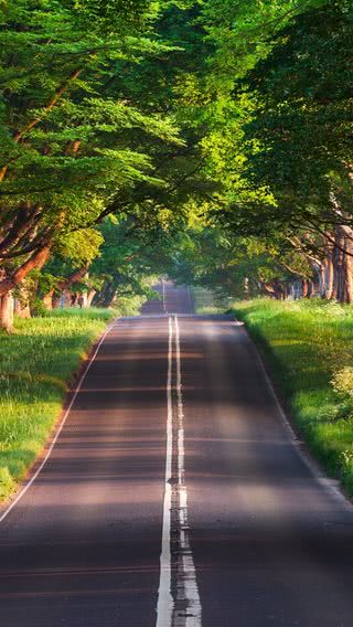 道路