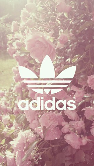 Adidas - 薔薇