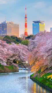 春の東京