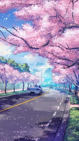 桜|道路のiPhone壁紙