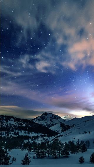 冬の星空