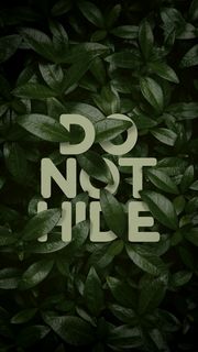 DO NOT HIDE