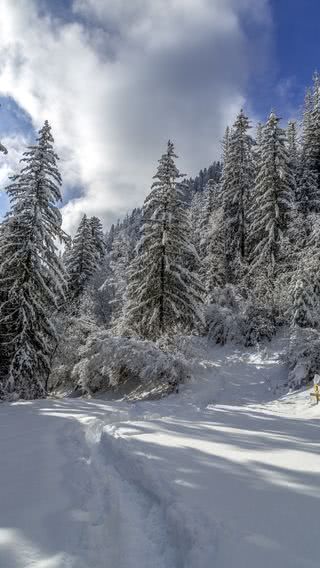 雪山