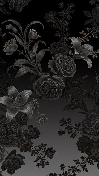 【92位】黒基調の花柄|花柄のiPhone壁紙