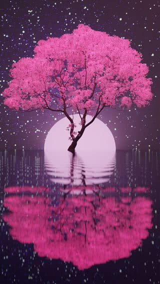 【172位】夜桜