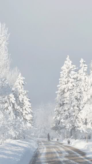 真っ白な雪