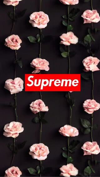 Supreme（シュプリーム）