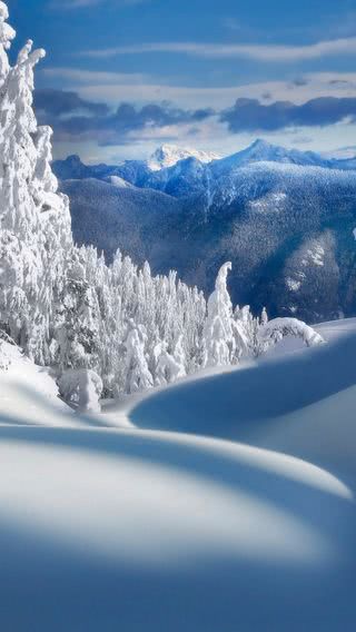 雪原