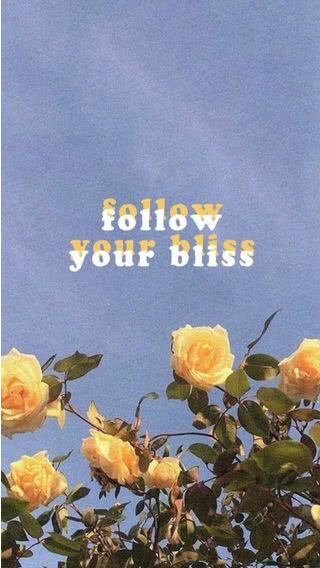 黄色い薔薇 - Follow your bliss