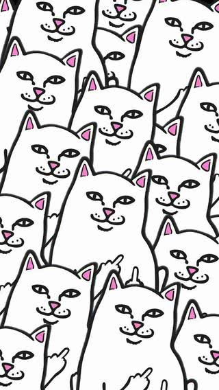 RIPNDIP - リッピンディップ