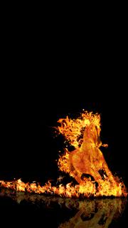 Fire Horse