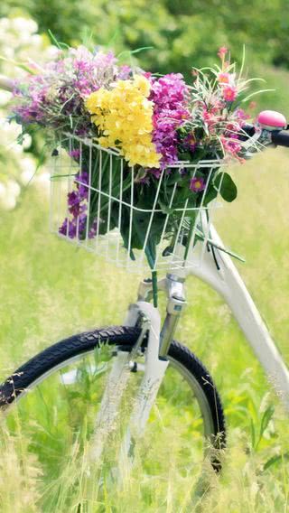 自転車のカゴに沢山の花